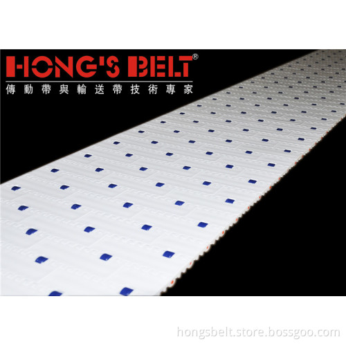 Roller Food Grade Modular Conveyor Belt (HS-100C)